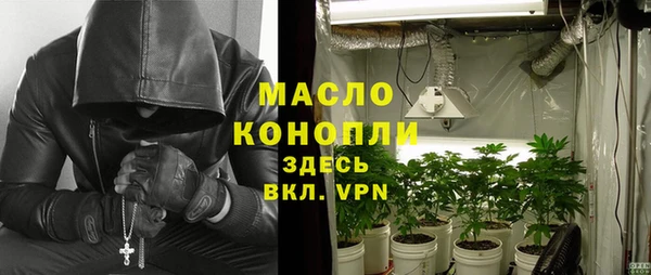дживик Чердынь