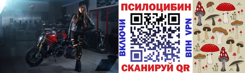 МЕГА как войти  Жуковский  Псилоцибиновые грибы мухоморы  купить  сайты 